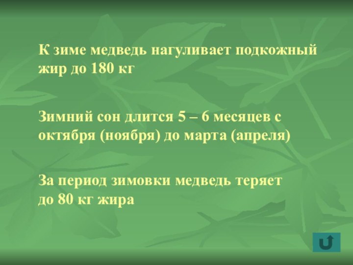 К зиме медведь нагуливает подкожный жир до 180 кгЗимний сон длится 5