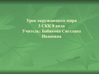 Презентация к уроку окружающего мира по теме Дикие животные нашего края - медведь