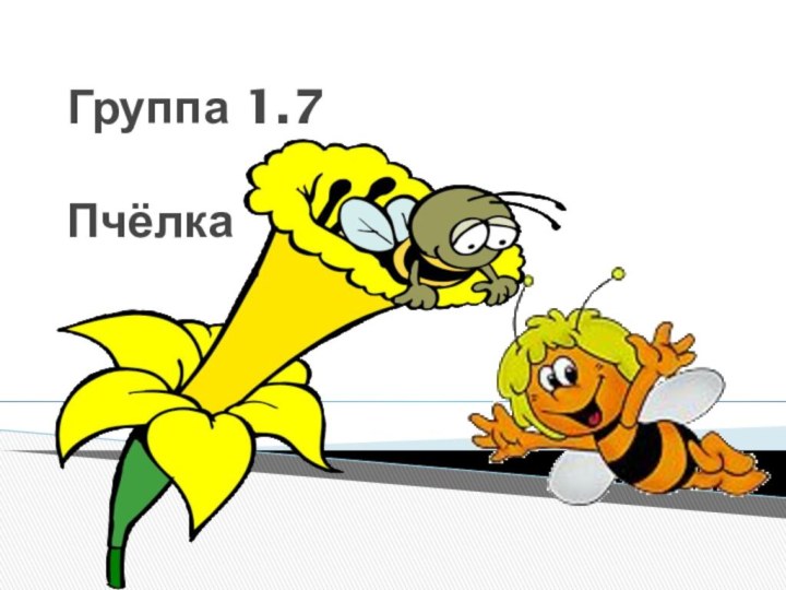 Группа 1.7  Пчёлка