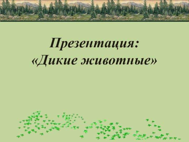 Презентация:  «Дикие животные»