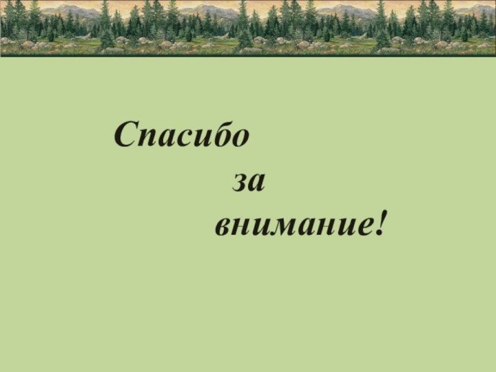 Спасибо       за      внимание!