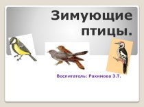 Презентация для детей средней группы Зимующие птицы