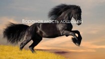 Презентация по чувашскому языку на тему Лошадь, 7 класс