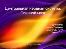 Презентация по биологии на тему Центральная нервная система. Спинной мозг (8 класс) УМК Сфера