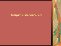 Презентация по биологии на тему Отряды насекомых