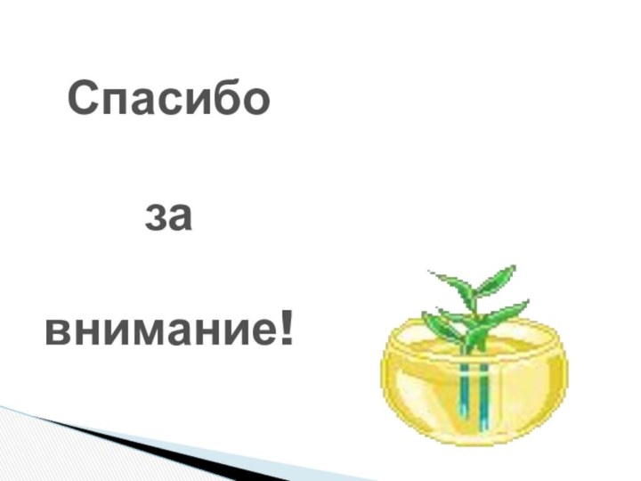 Спасибозавнимание!