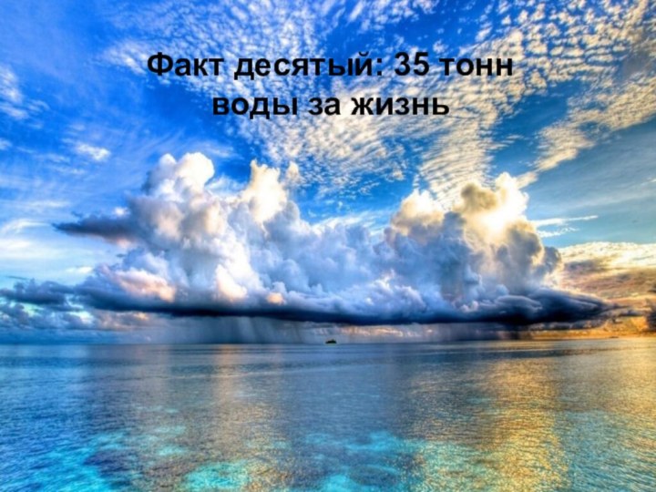 Факт двенадцатый: 35 тонн воды за жизнь   Факт десятый: 35 тонн воды за жизнь