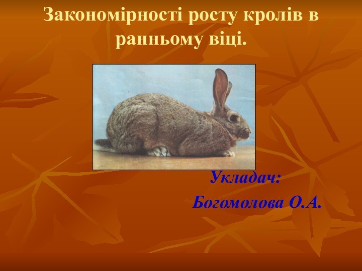 Закономірності росту кролів в ранньому віці. Укладач:Богомолова О.А.