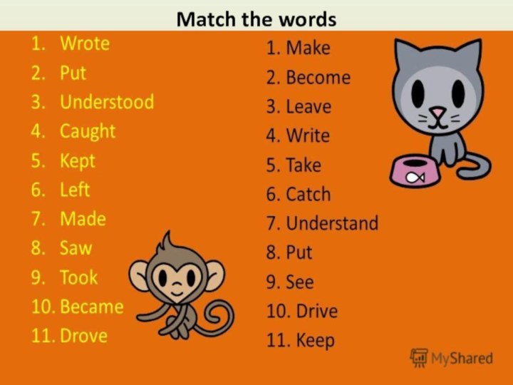 Match the words