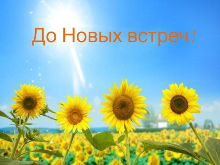 До Новых встреч!