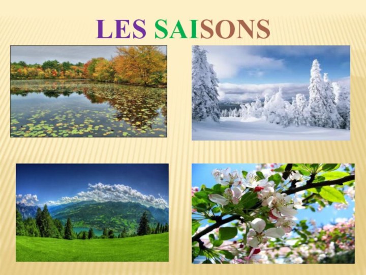 LES SAISONS