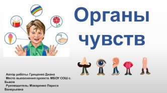 Презентация к исследовательской работе Органы чувств