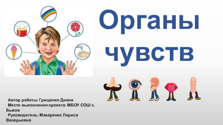 Органы чувств Автор работы: Грищенко Диана Место выполнения проекта: МБОУ СОШ с.