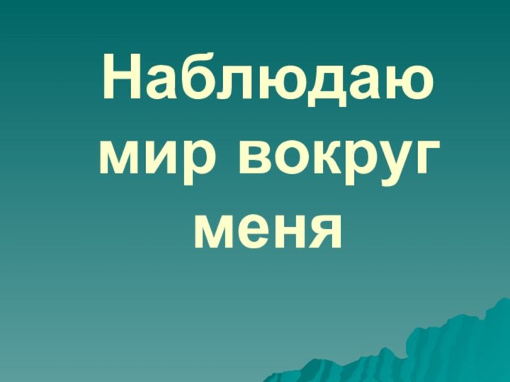 Наблюдаю мир вокруг меня