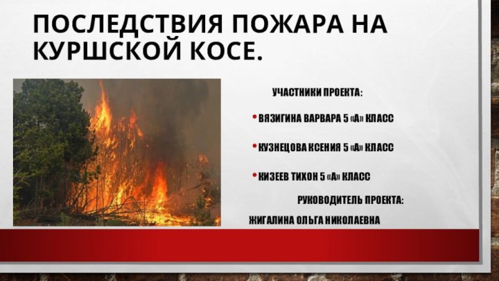 Последствия пожара на Куршской косе.