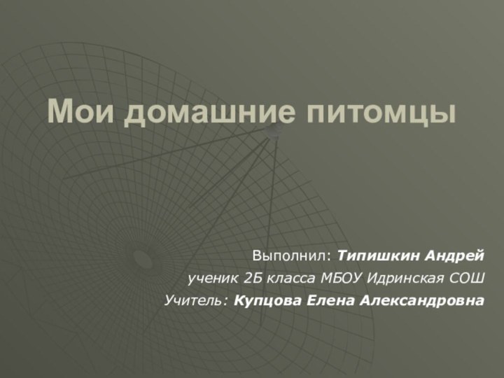 Мои домашние питомцыВыполнил: Типишкин Андрейученик 2Б класса МБОУ Идринская СОШУчитель: Купцова Елена Александровна