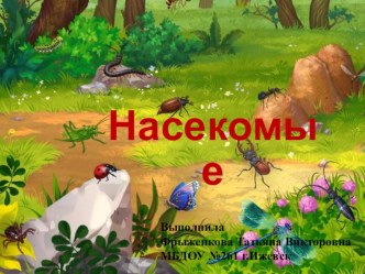 Насекомые (старшая группа)