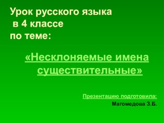 : Несклоняемые имена существительные