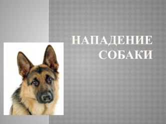 Презентация по ОБЖ по теме Действия при нападении собак