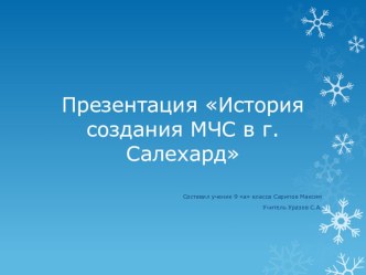 МЧС в г. Салехард Сарипов Максим