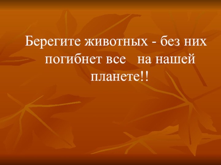 Берегите животных - без них погибнет все  на нашей планете!!