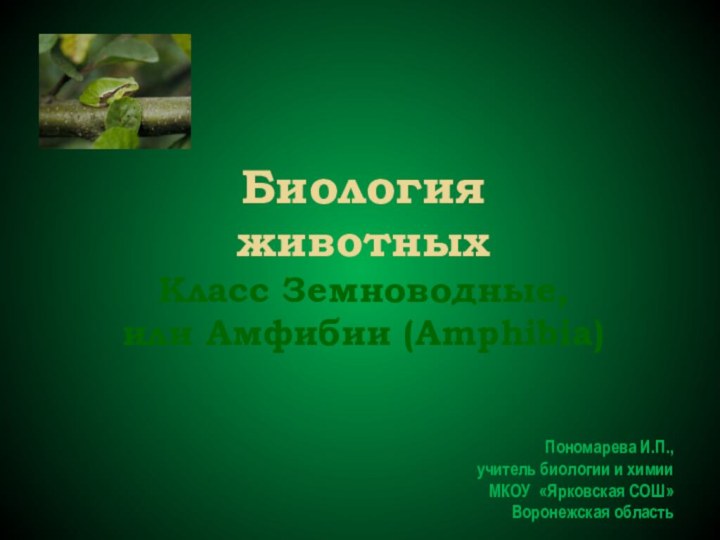 Биология животных  Класс Земноводные, или Амфибии (Amphibia)  Пономарева И.П.,учитель биологии