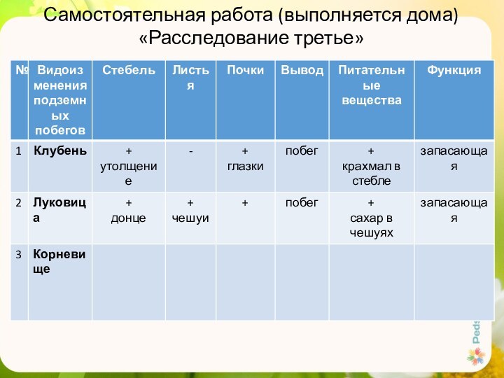 Самостоятельная работа (выполняется дома) «Расследование третье»