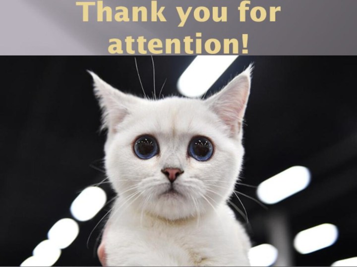 Thank you for attention!