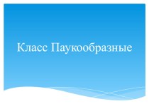 Презентация по теме Класс Паукообразные