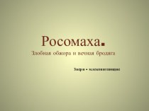 Презентация по окружающему миру 1 класс Росомаха