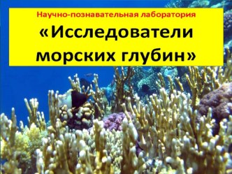 Презентация к уроку математики Научно-познавательная лаборатория Исследователи морских глубин