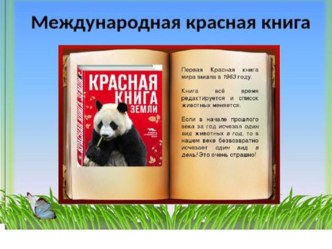 Презентация для подготовительной группы на тему: Международная красная книга