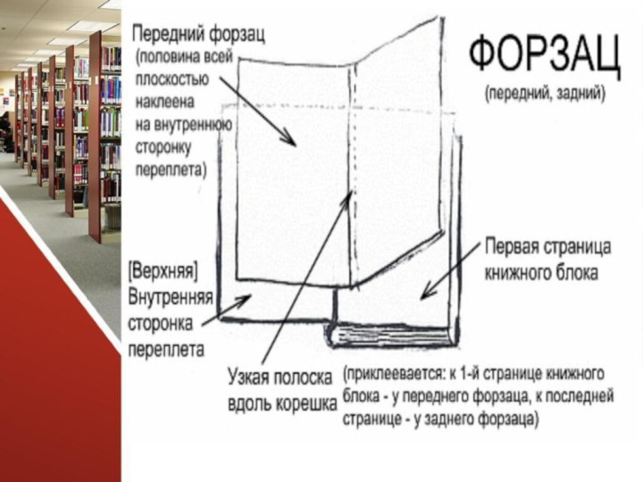 Форзац образец