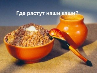 Презентация к занятию Где растут наши каши?