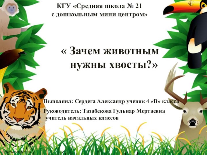 КГУ «Средняя школа № 21 с дошкольным мини центром»« Зачем животным