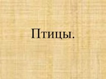 Презентация по окружающему миру: Птицы