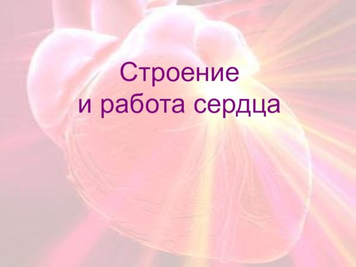 Строение  и работа сердца