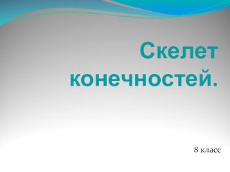 Презентация по теме: Скелет конечностей (8 класс)