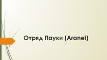 Презентация по зоологии беспозвоночных Отряд пауки