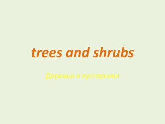 Презентация по английскому языку Trees and shrubs