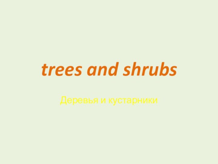 trees and shrubsДеревья и кустарники