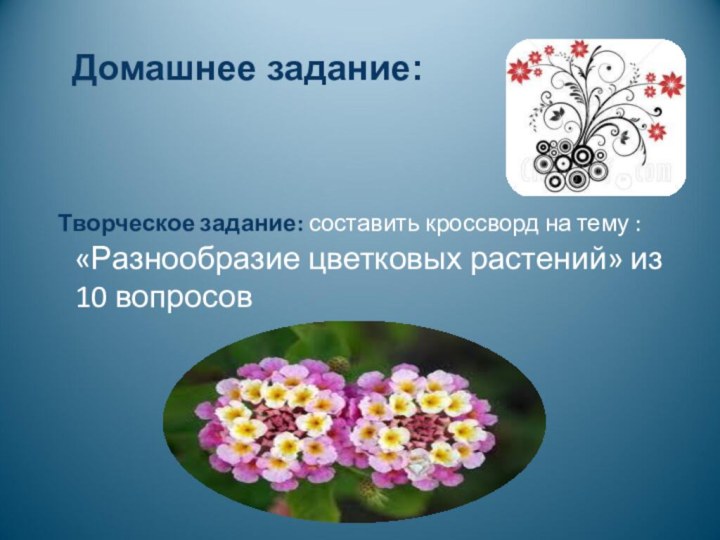 Домашнее задание: Творческое задание: составить кроссворд на тему : «Разнообразие цветковых растений» из 10 вопросов