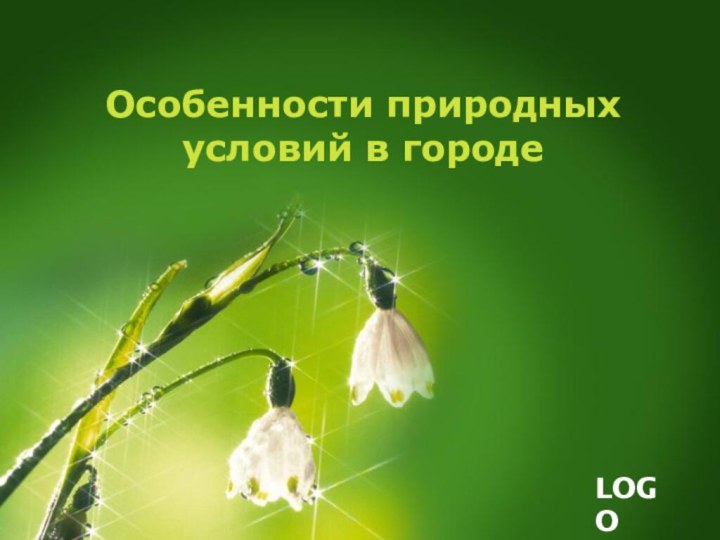 Особенности природных условий в городе