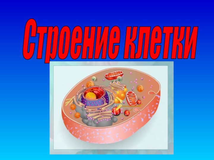 Строение клетки