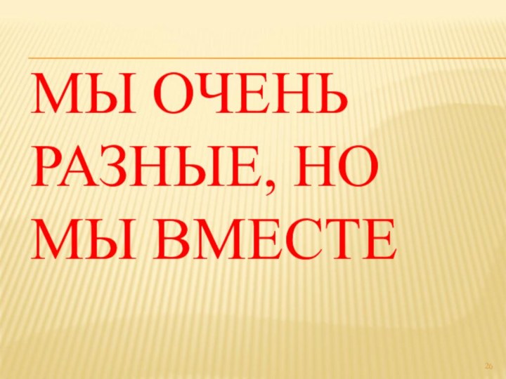 МЫ ОЧЕНЬ РАЗНЫЕ, НО МЫ ВМЕСТЕ