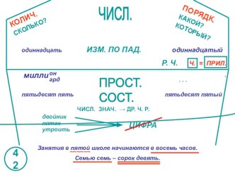 Опорные конспекты по русскому языку по теме Числительное