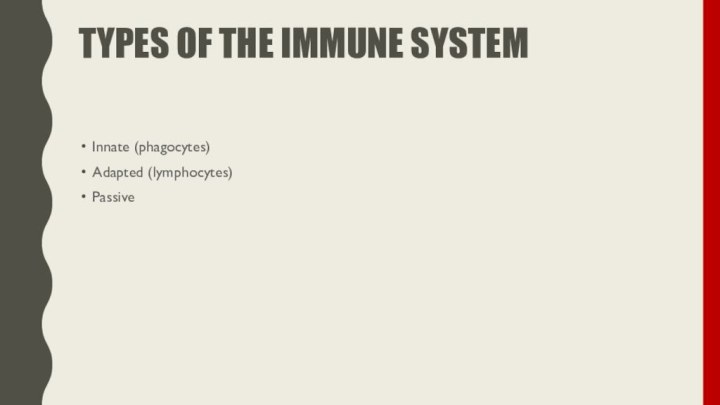 TYPES OF THE IMMUNE SYSTEM Innate (phagocytes)Adapted (lymphocytes)Passive