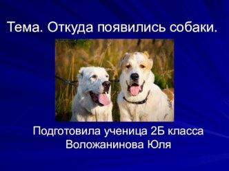 Исследовательская работа по теме Откуда появились собаки