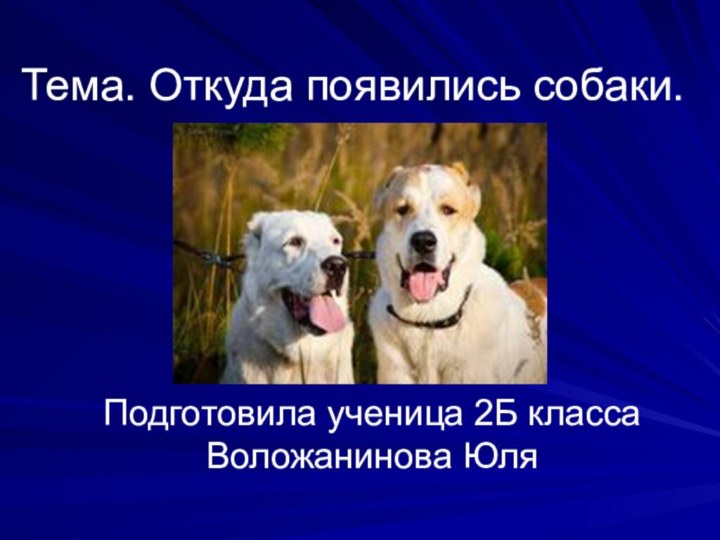 Подготовила ученица 2Б класса Воложанинова Юля Тема. Откуда появились собаки.