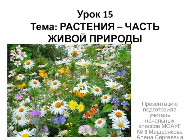 Урок 15 Тема: РАСТЕНИЯ – ЧАСТЬ ЖИВОЙ ПРИРОДЫ Презентацию подготовила учитель начальных